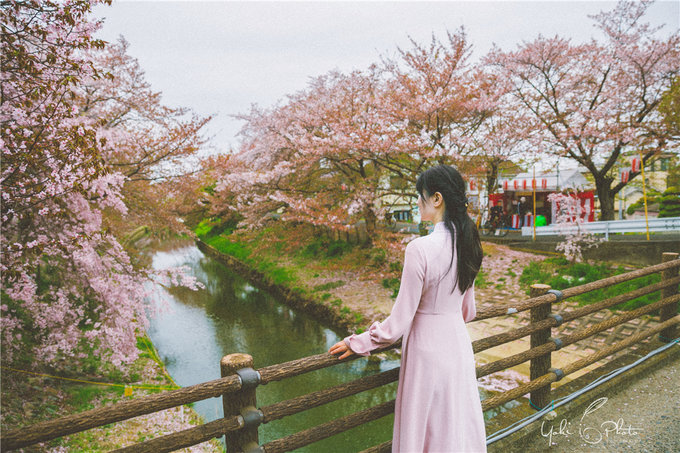 京都自助遊攻略