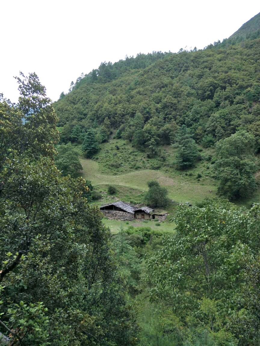 雨崩自助遊攻略