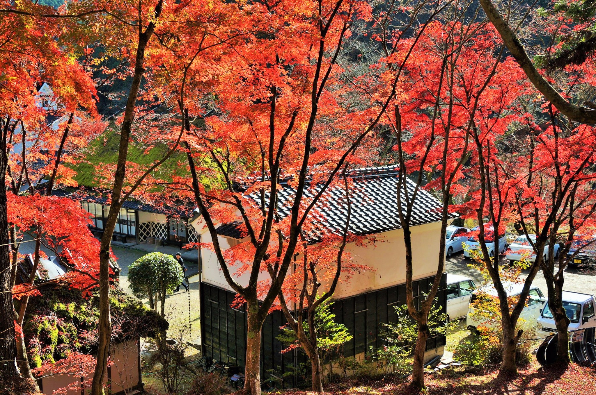 名古屋自助遊攻略