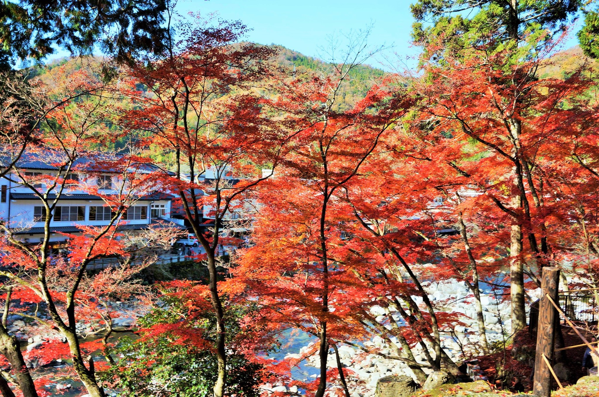 名古屋自助遊攻略