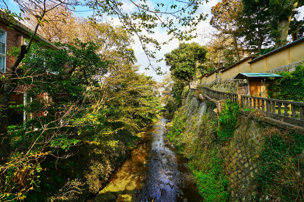 東京自助遊攻略