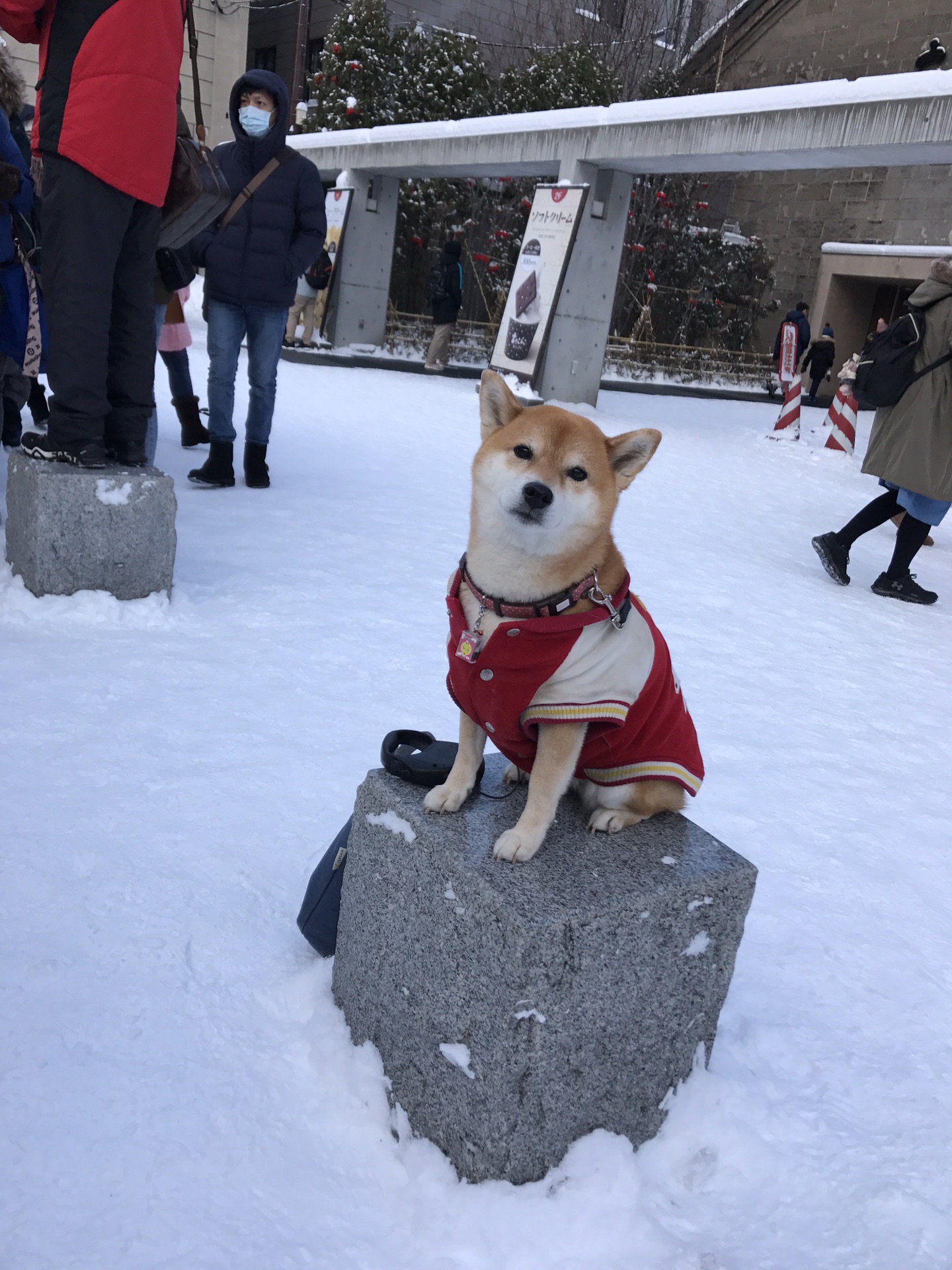 北海道自助遊攻略