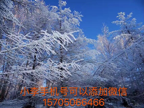 歌曲曲谱呼伦贝尔的冬天_呼伦贝尔的冬天曲谱(3)