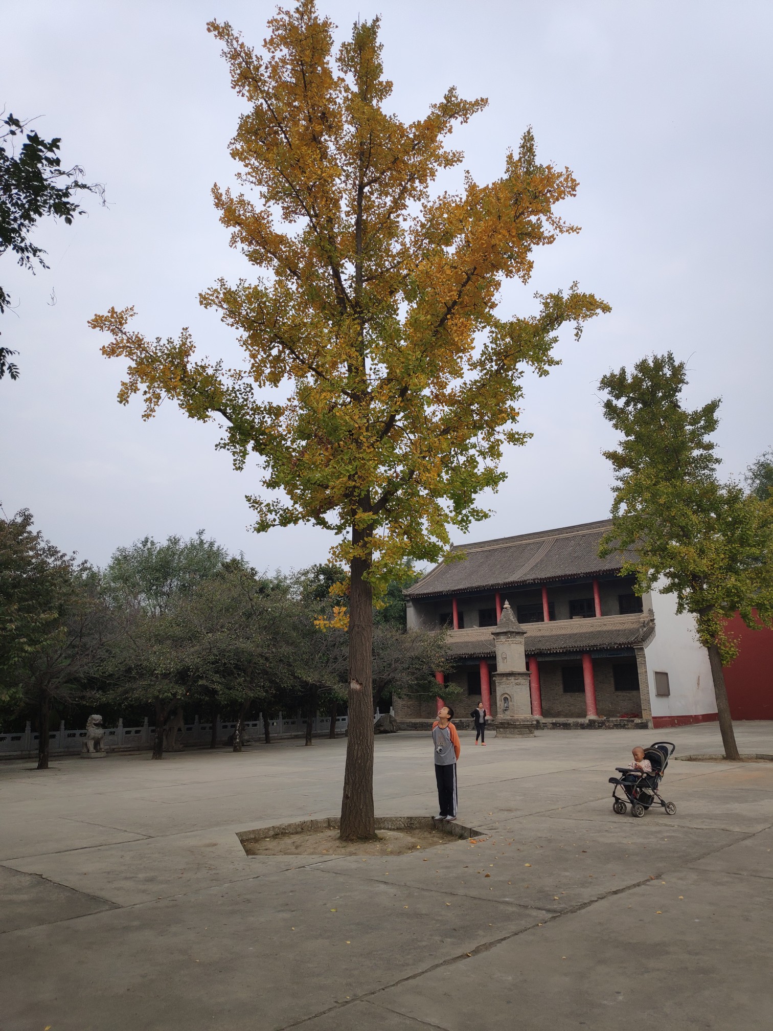 香积寺人口_西安香积寺图片