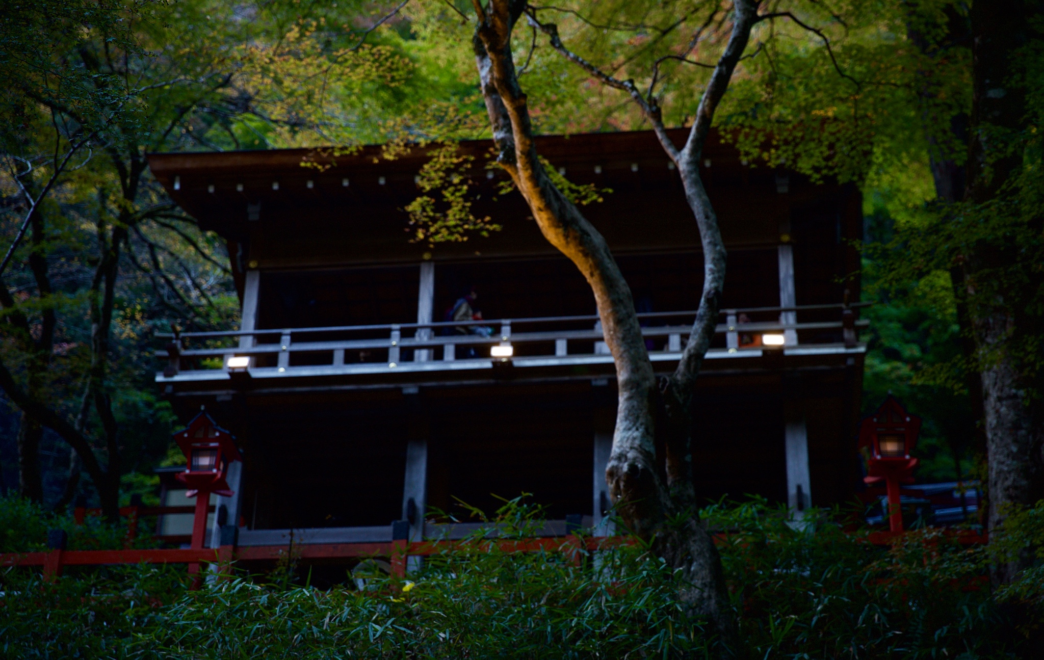 京都自助遊攻略