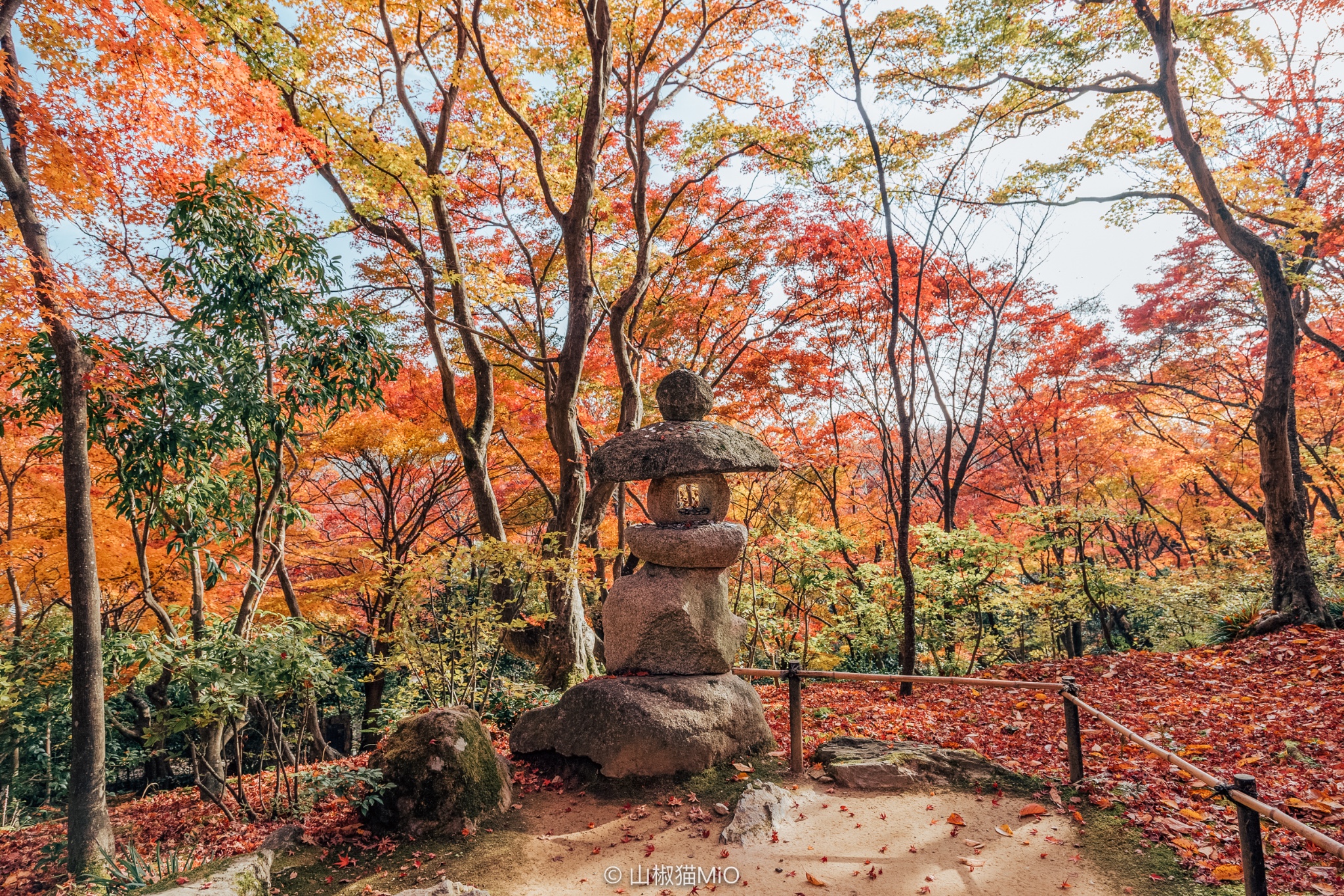 京都自助遊攻略