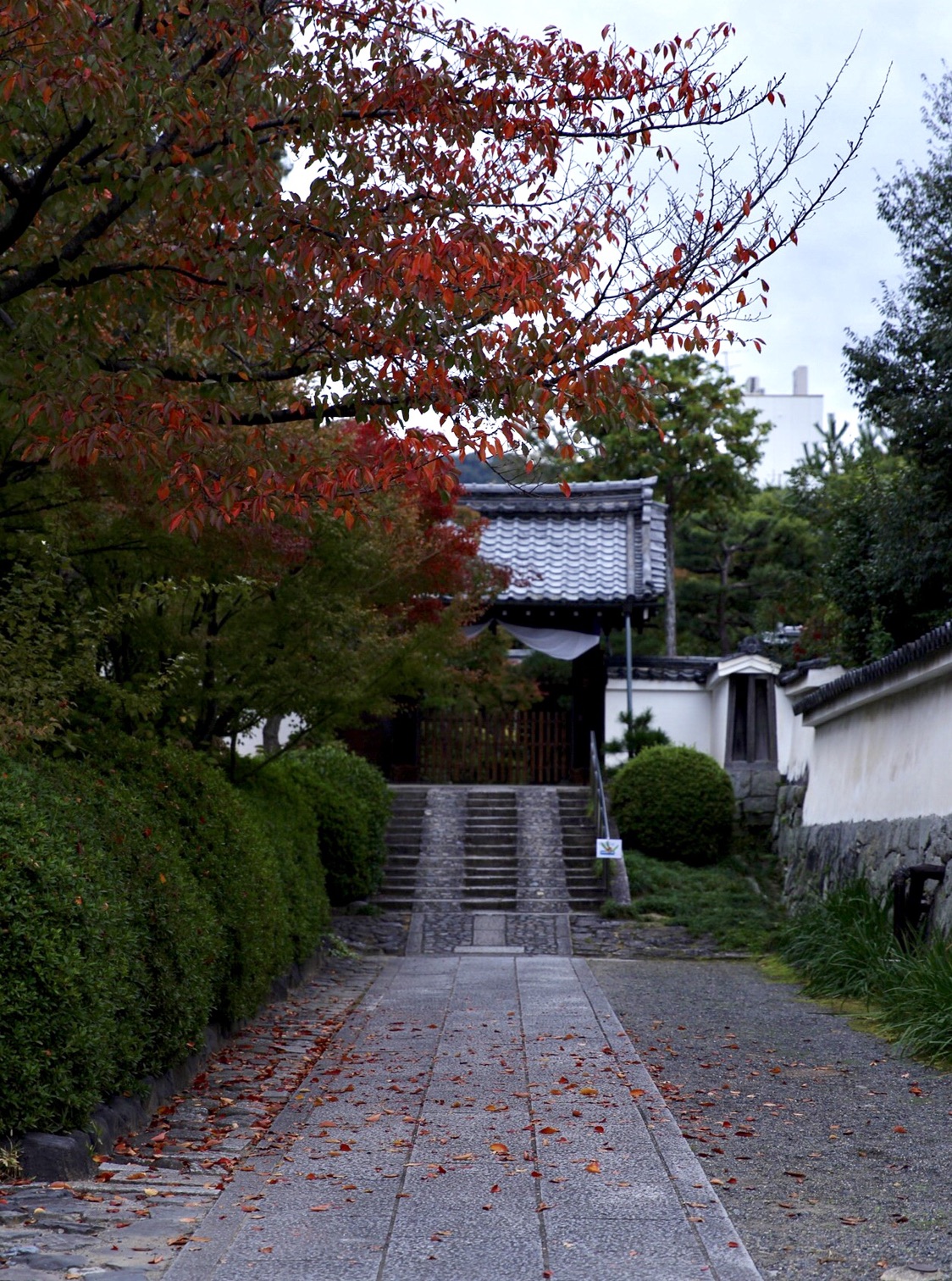 京都自助遊攻略