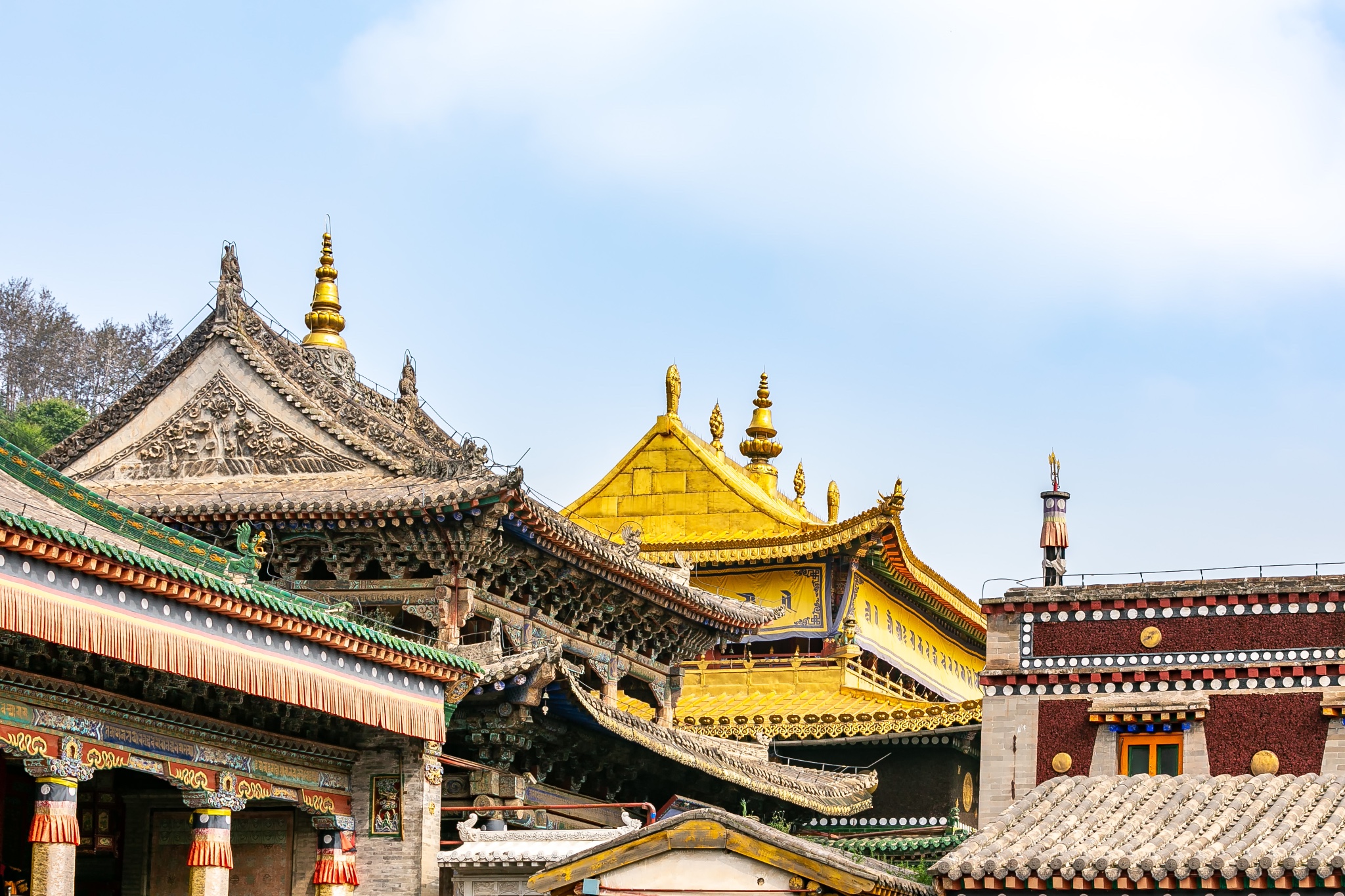 Qinghai taer temple Tour