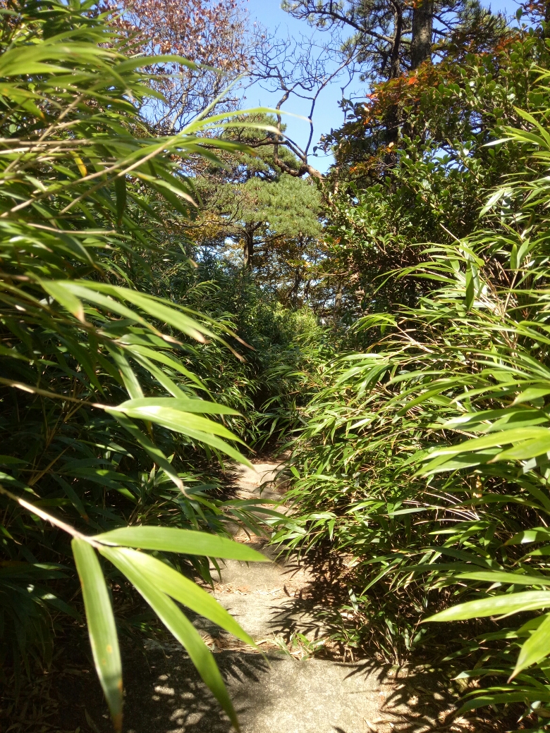 三清山自助遊攻略