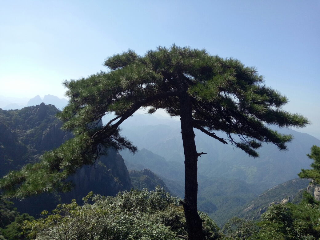 三清山自助遊攻略