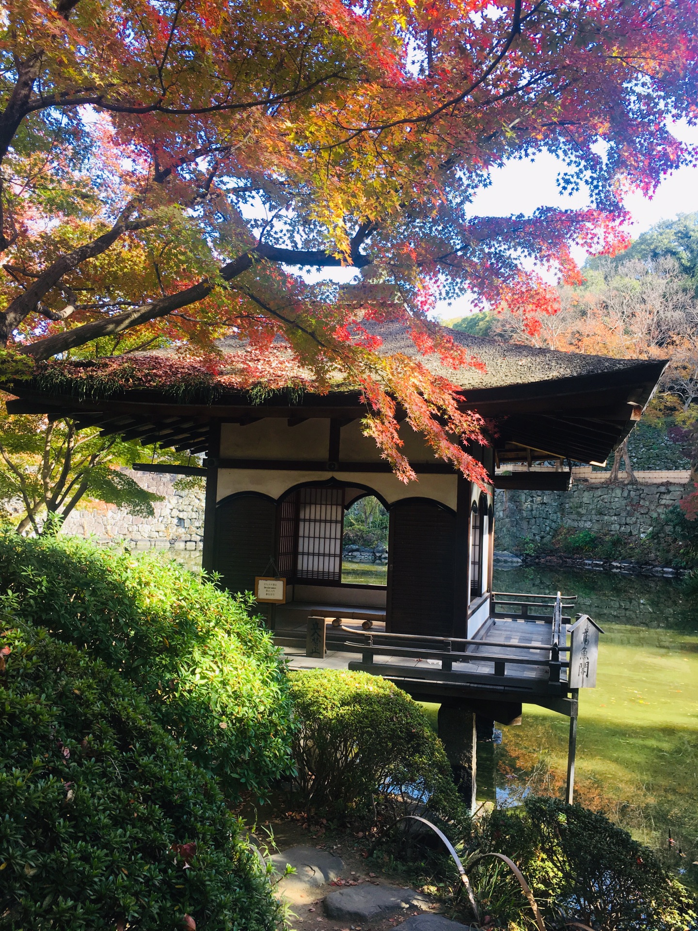 京都自助遊攻略