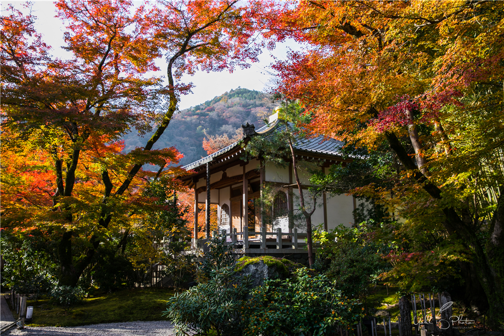 京都自助遊攻略