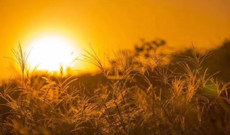 wKgED1xL8XaAWZG1AAFZ5FKotd472.jpeg?imageView2%2F2%2Fw%2F510%2Fh%2F8000%2Fq%2F100