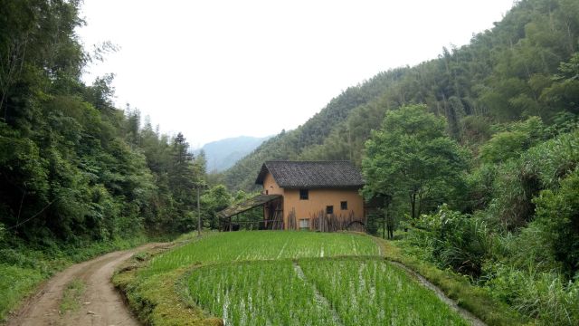 西山瑶族乡人口普查_灌阳西山瑶族乡小源村(2)