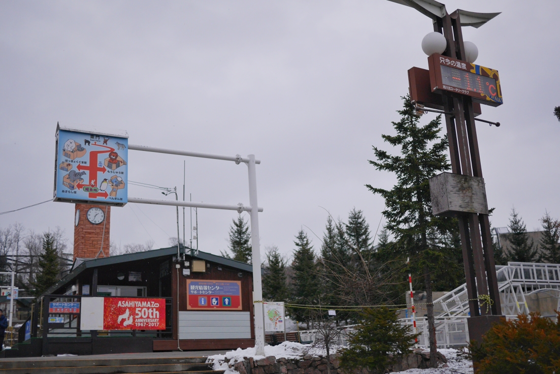 北海道自助遊攻略