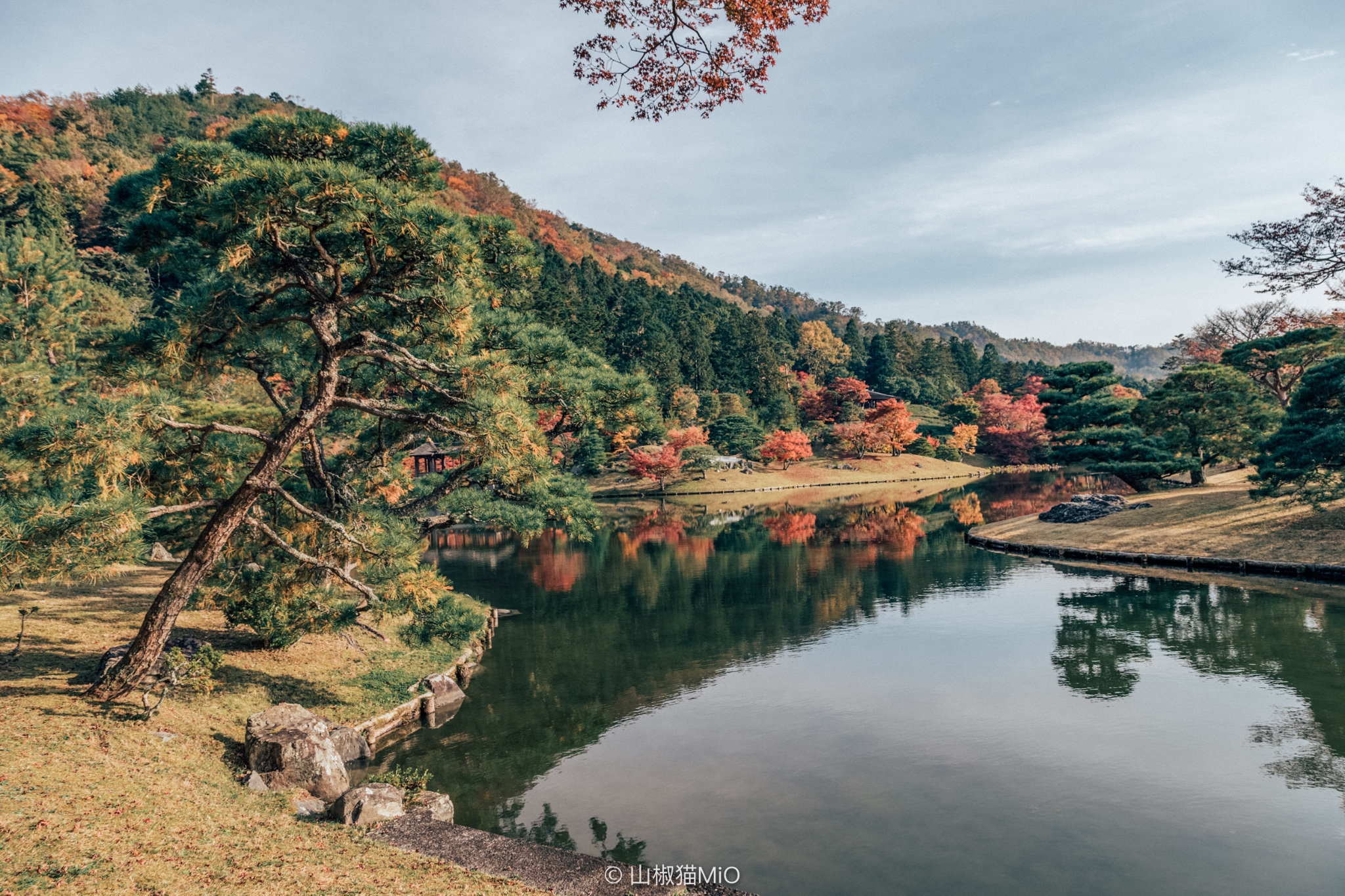 京都自助遊攻略