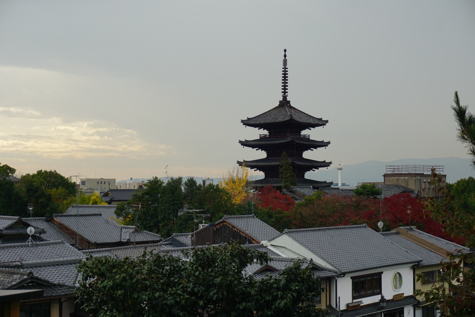 京都自助遊攻略