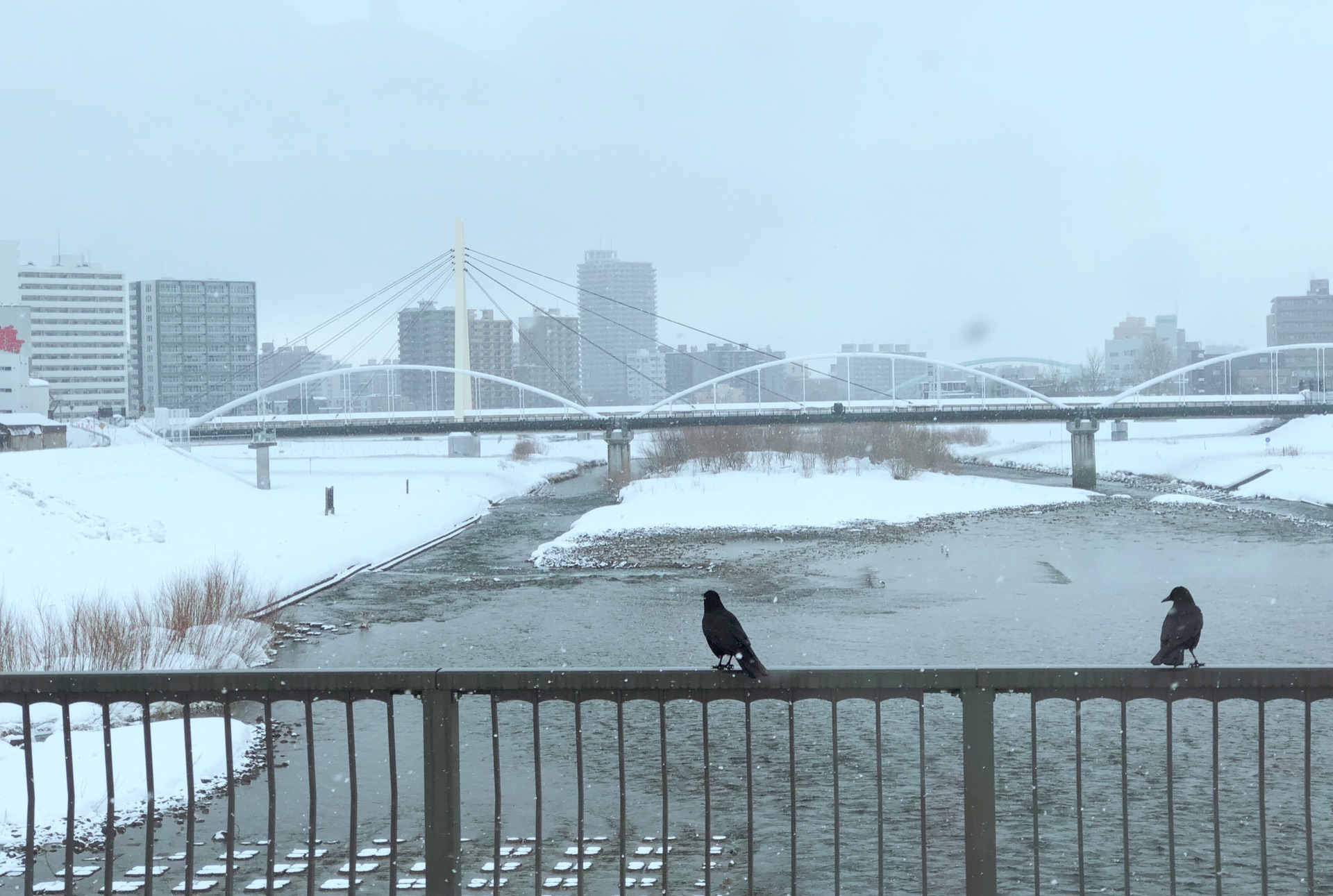 北海道自助遊攻略