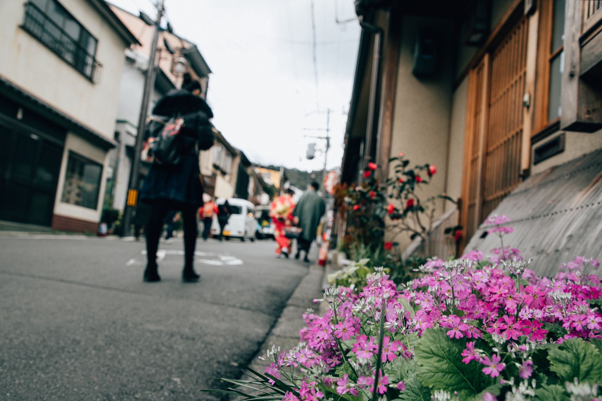 京都自助遊攻略