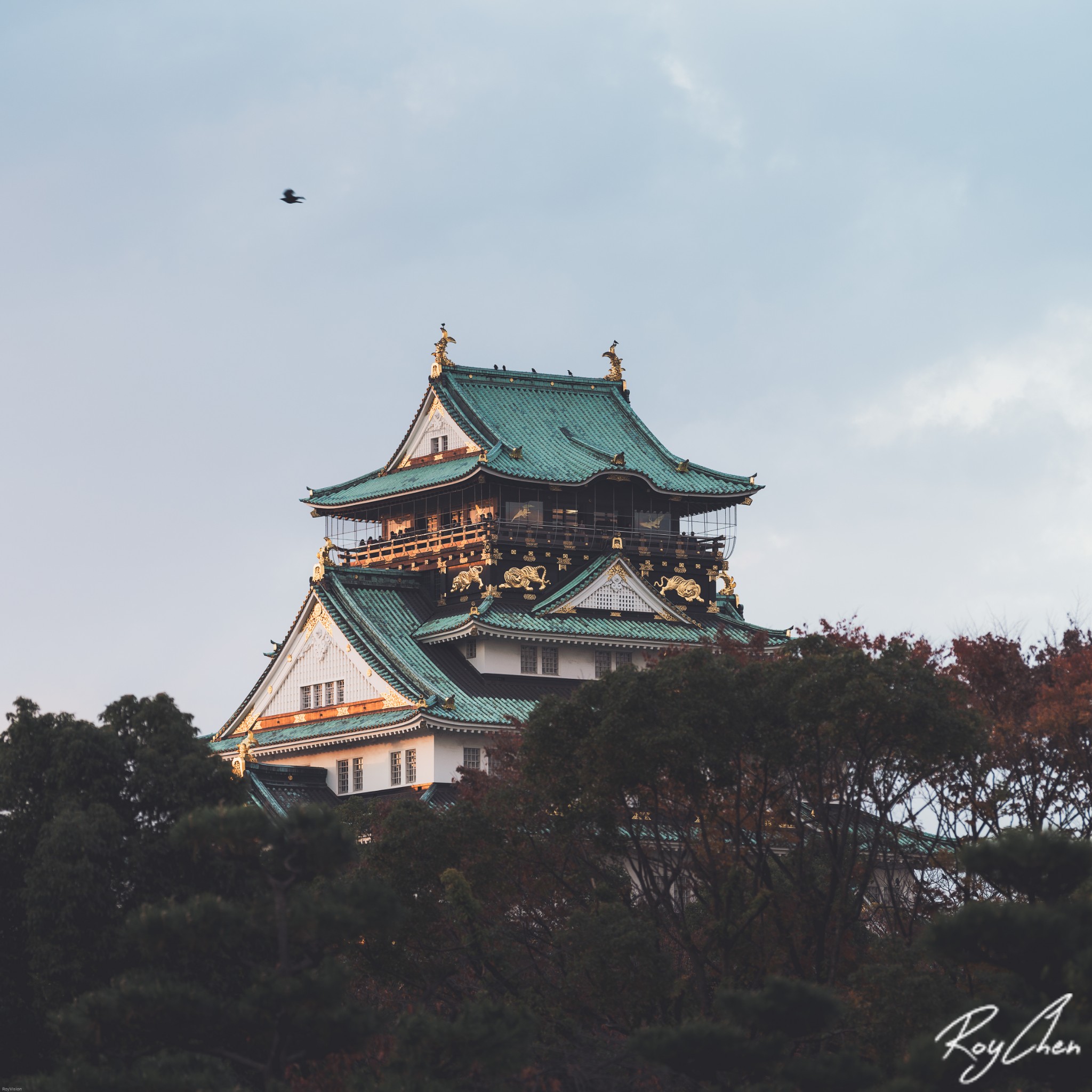 京都自助遊攻略