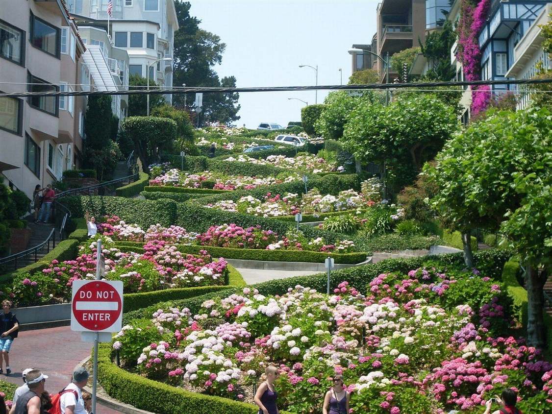 旧金山九曲花街(lombard street) q & a