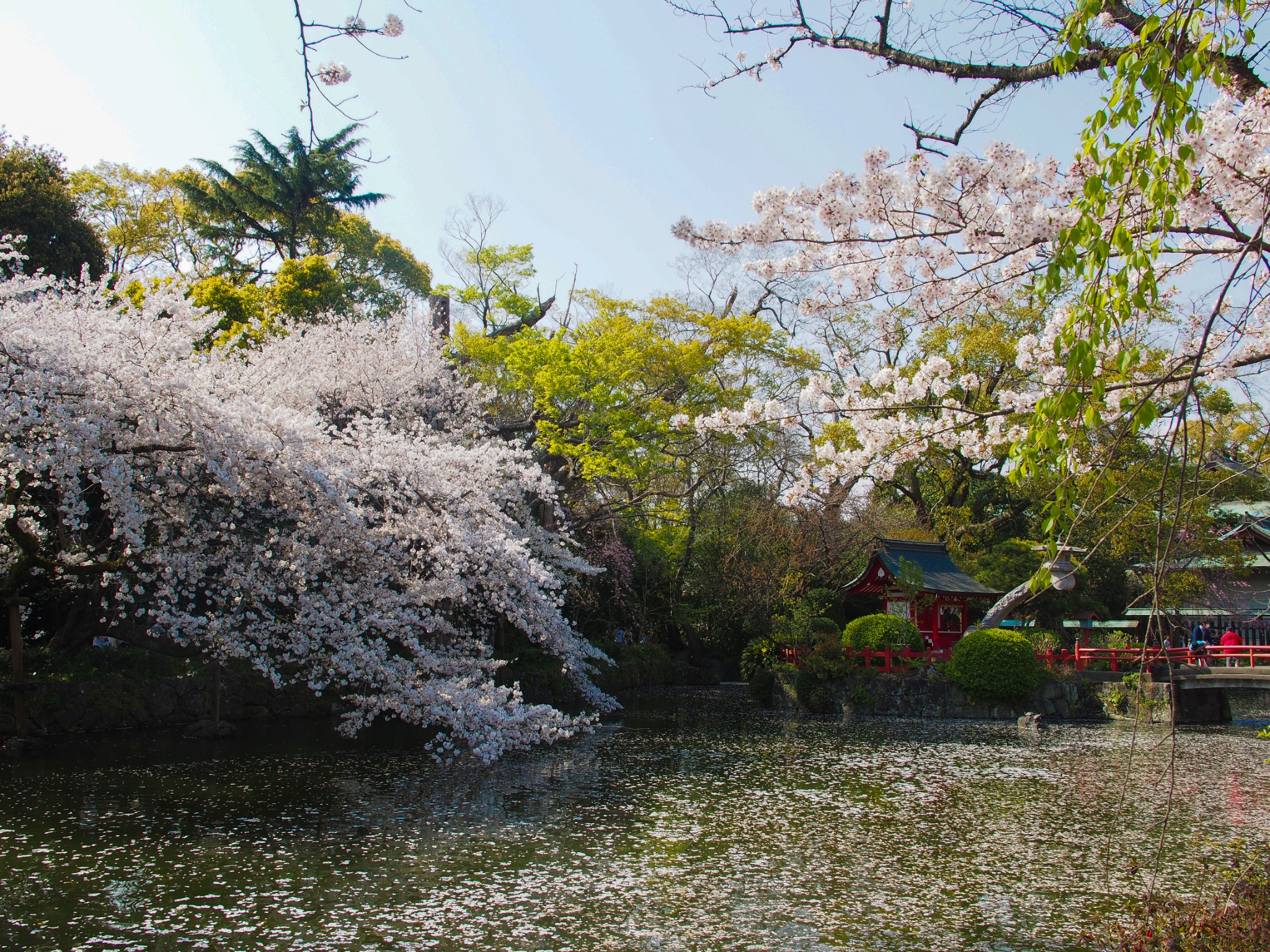 京都自助遊攻略