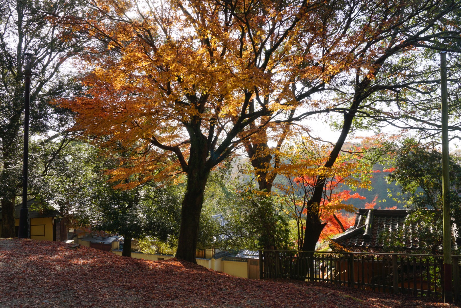 京都自助遊攻略