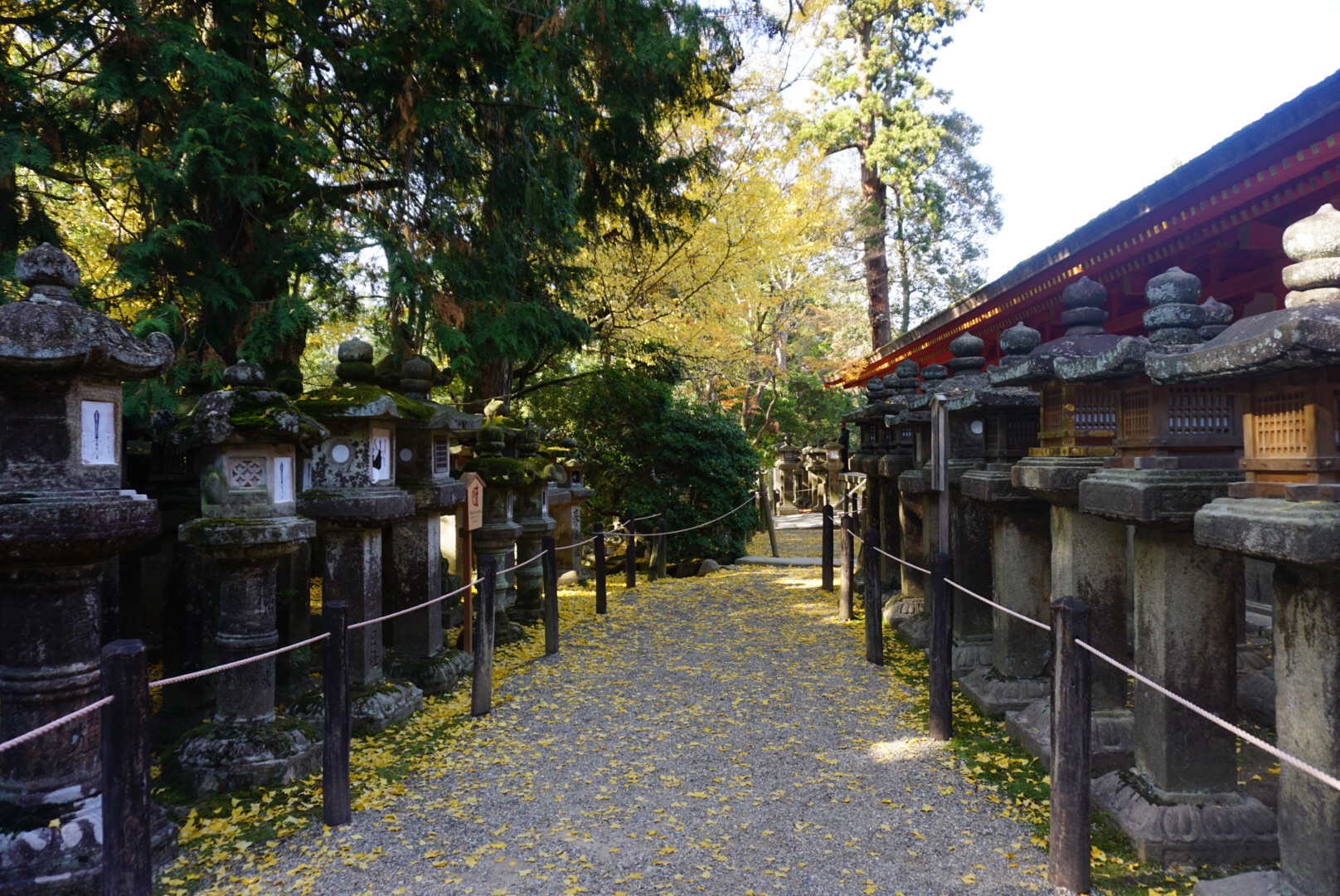 京都自助遊攻略