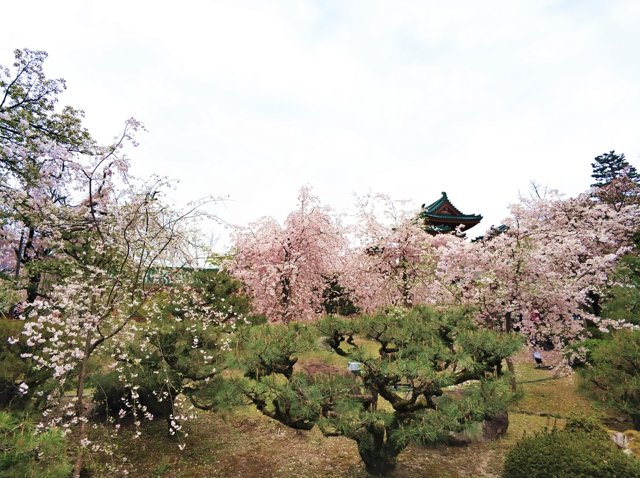 平安神宫