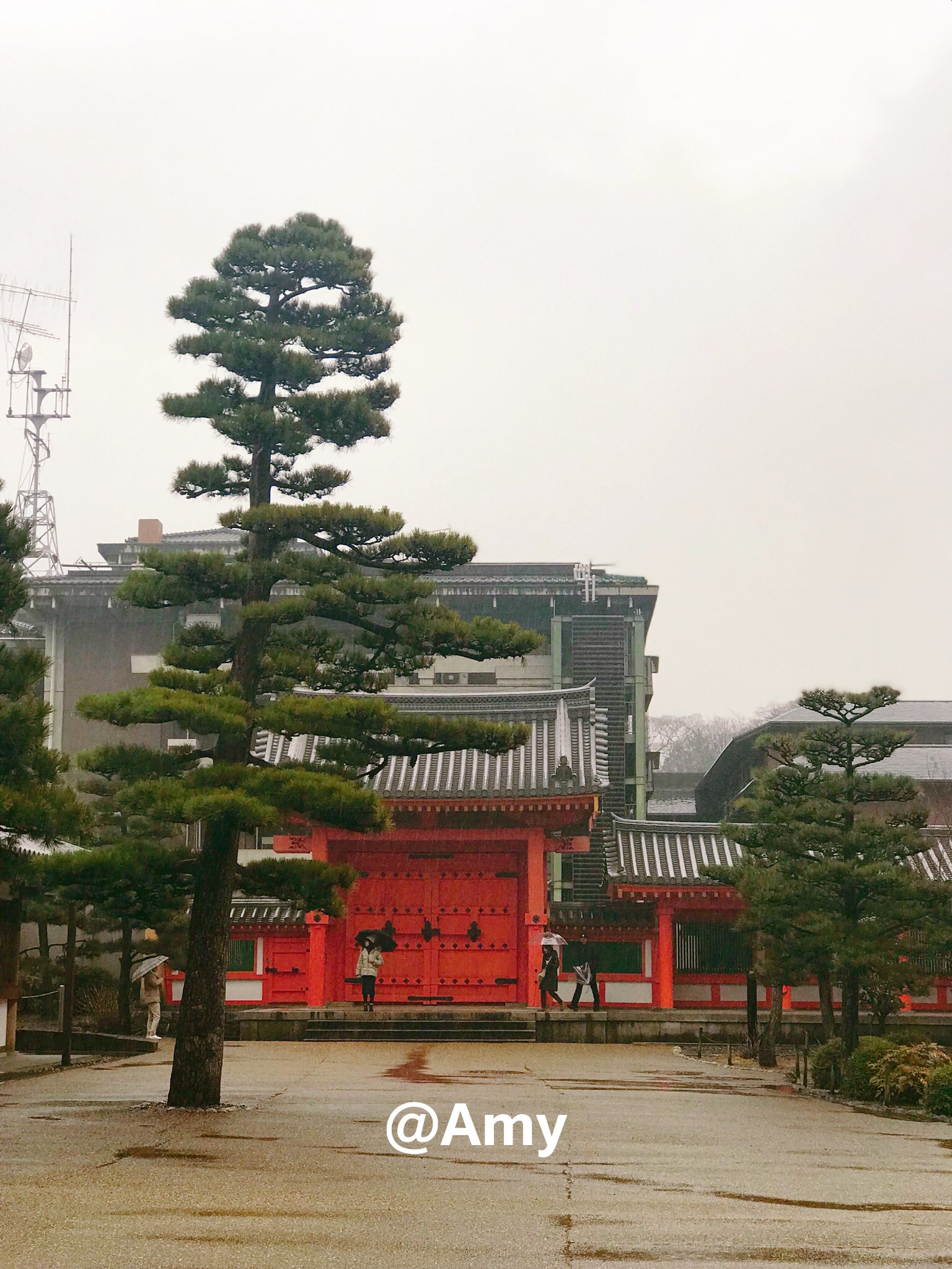 京都自助遊攻略