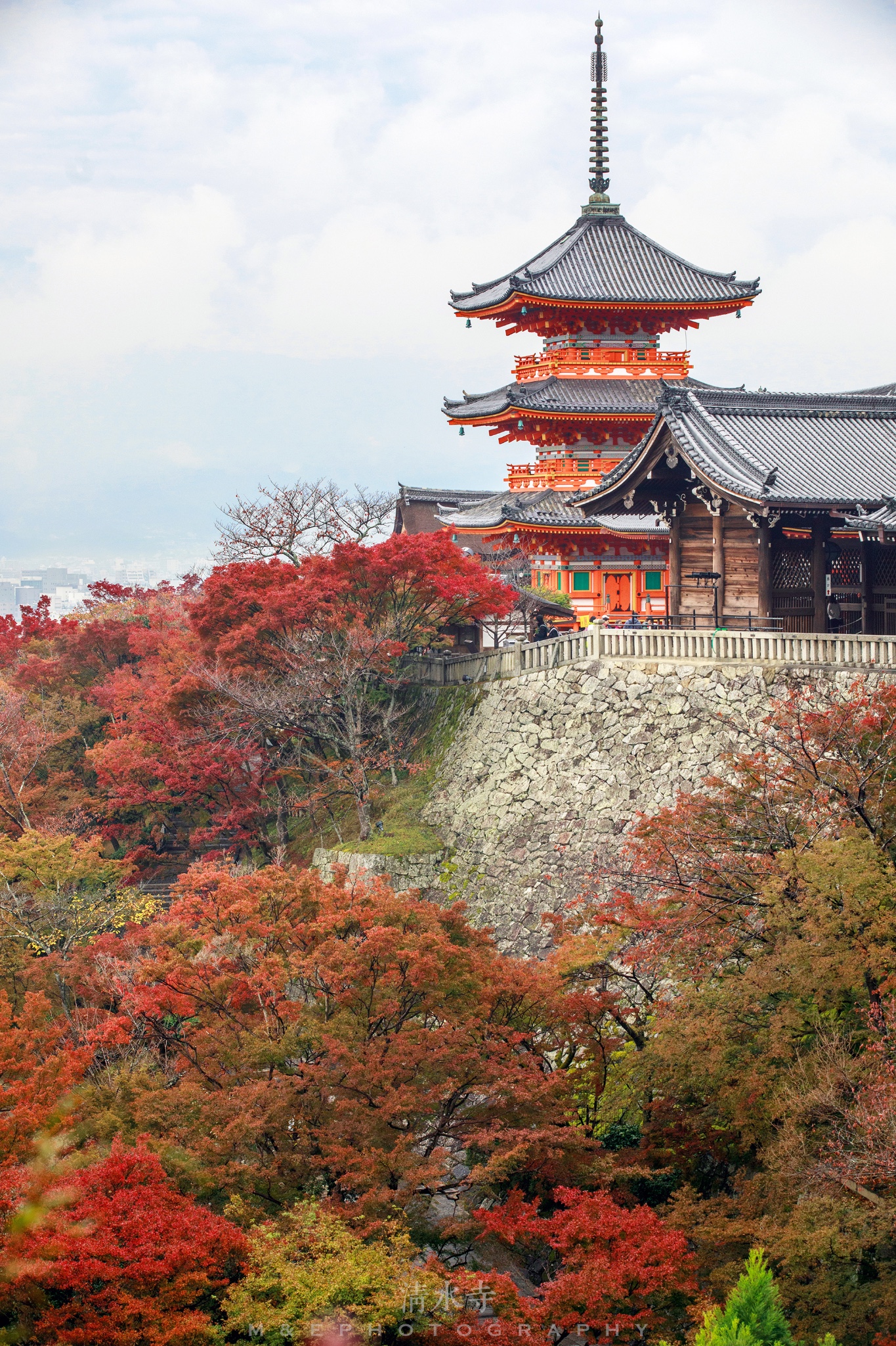 京都自助遊攻略