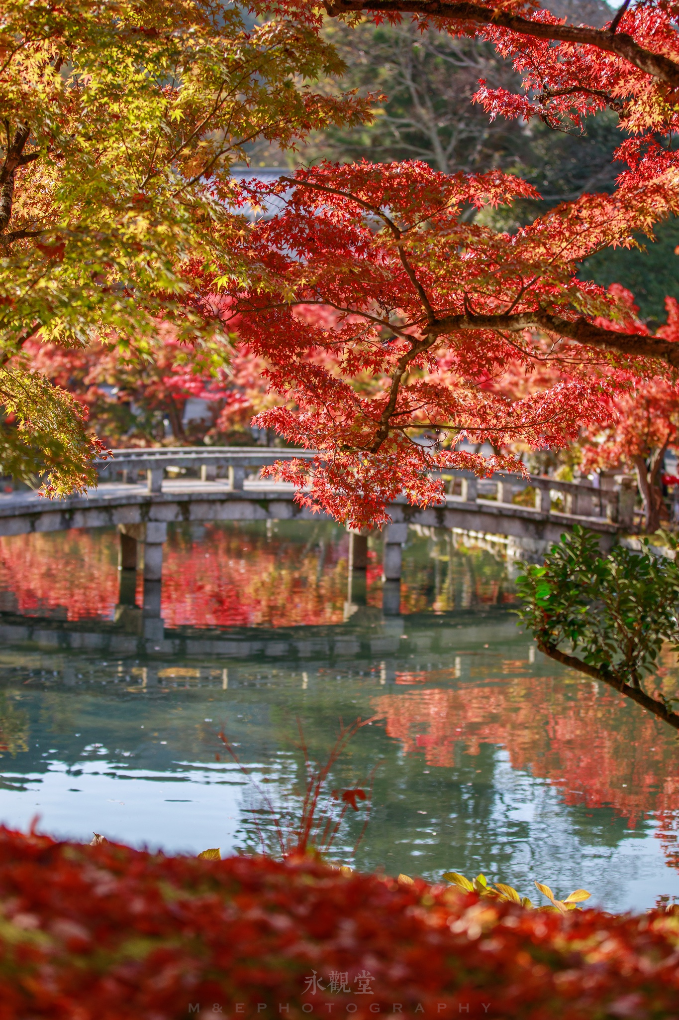 京都自助遊攻略