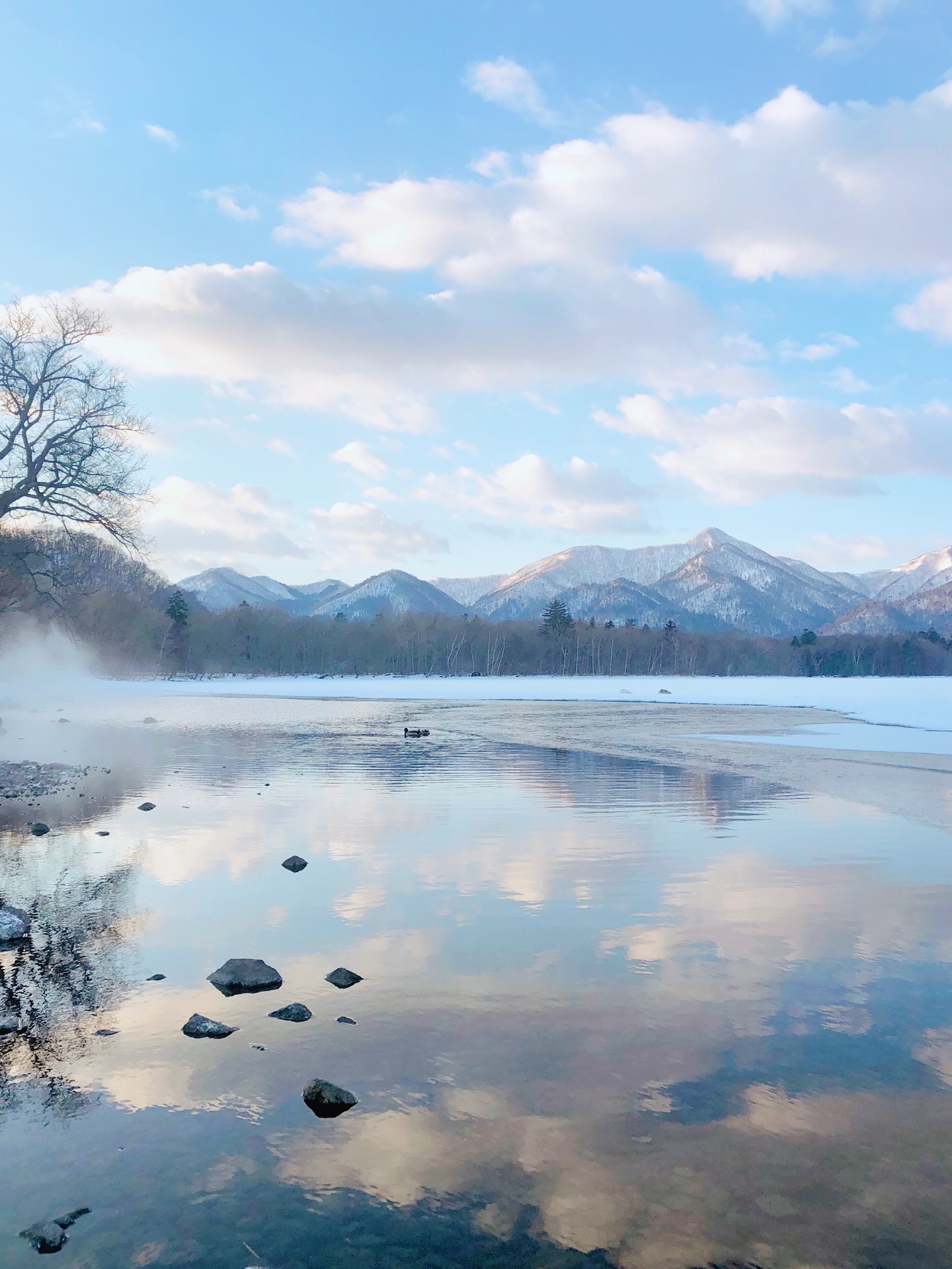 北海道自助遊攻略