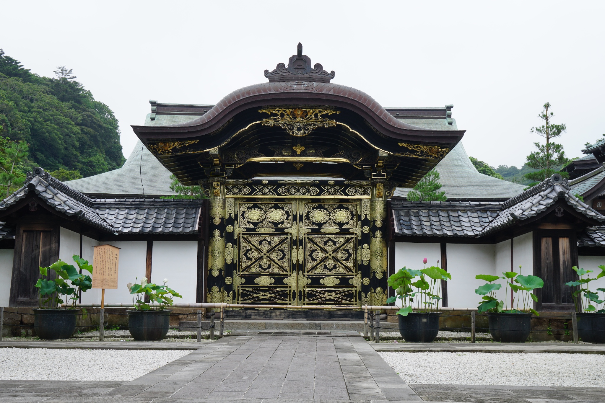 東京自助遊攻略