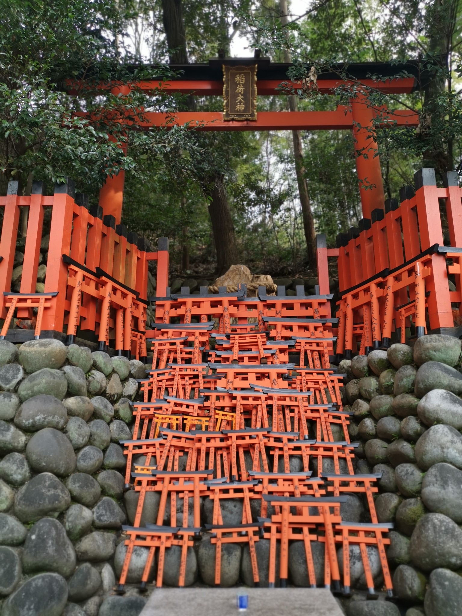 京都自助遊攻略