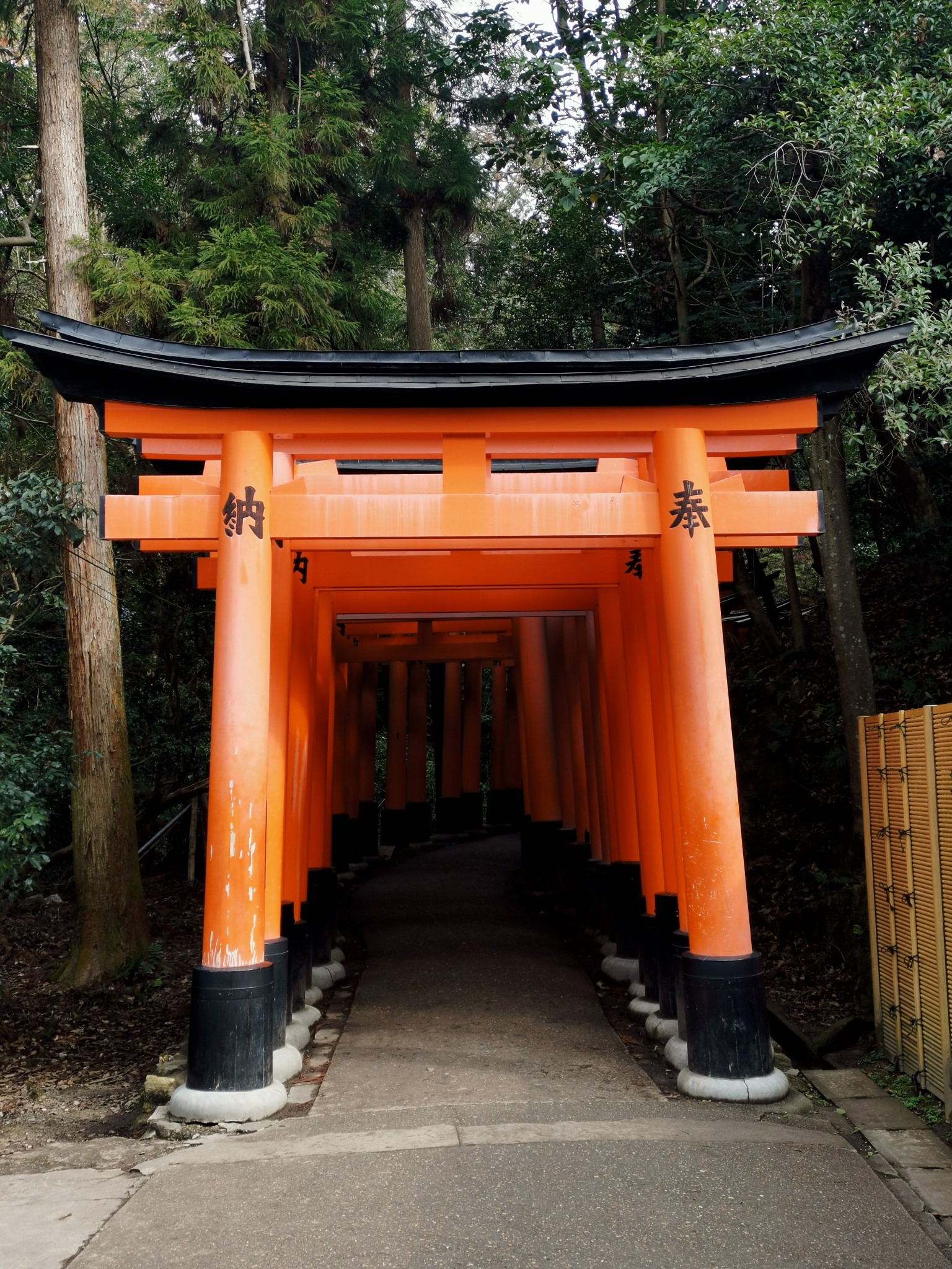 京都自助遊攻略