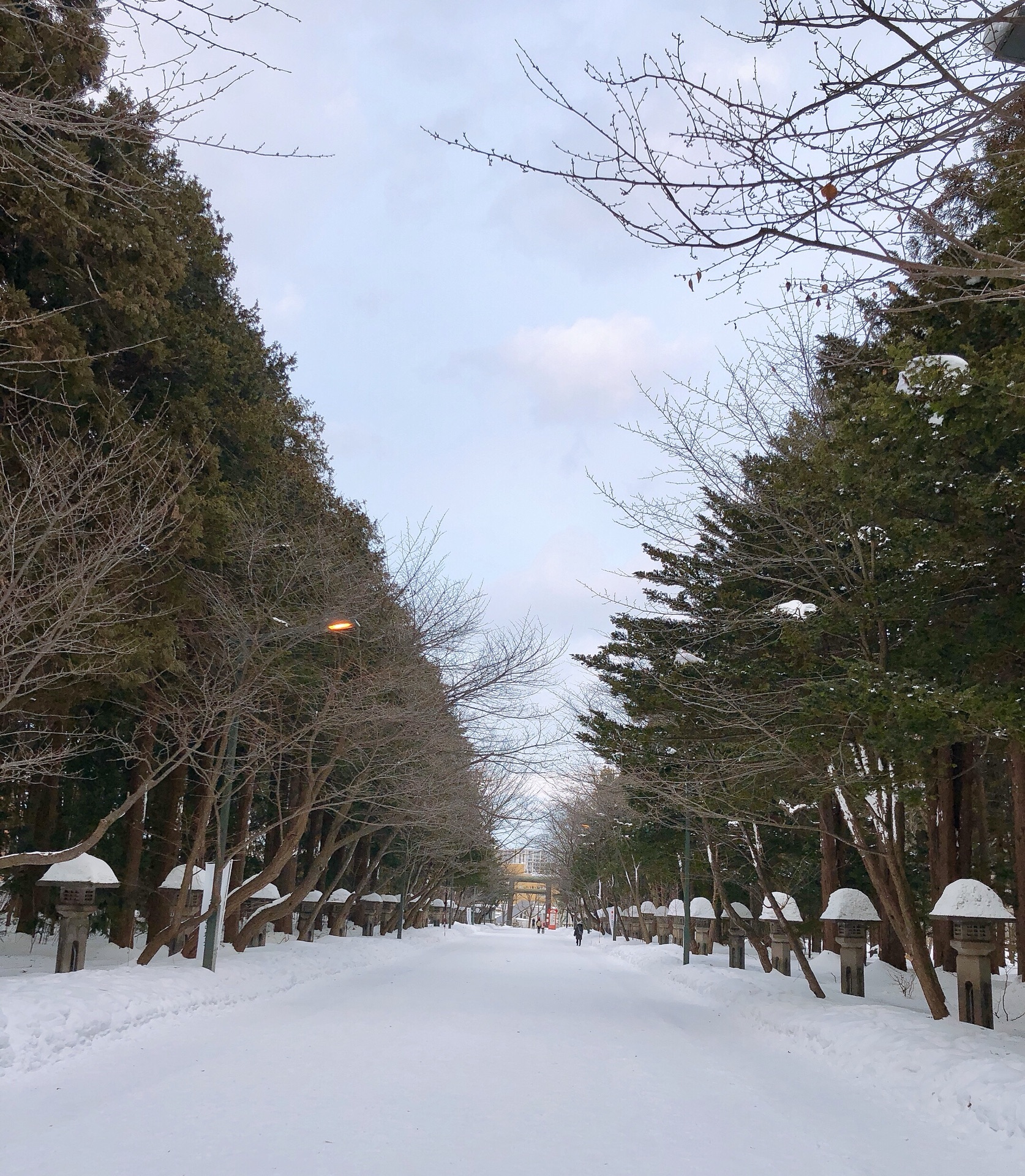 北海道自助遊攻略