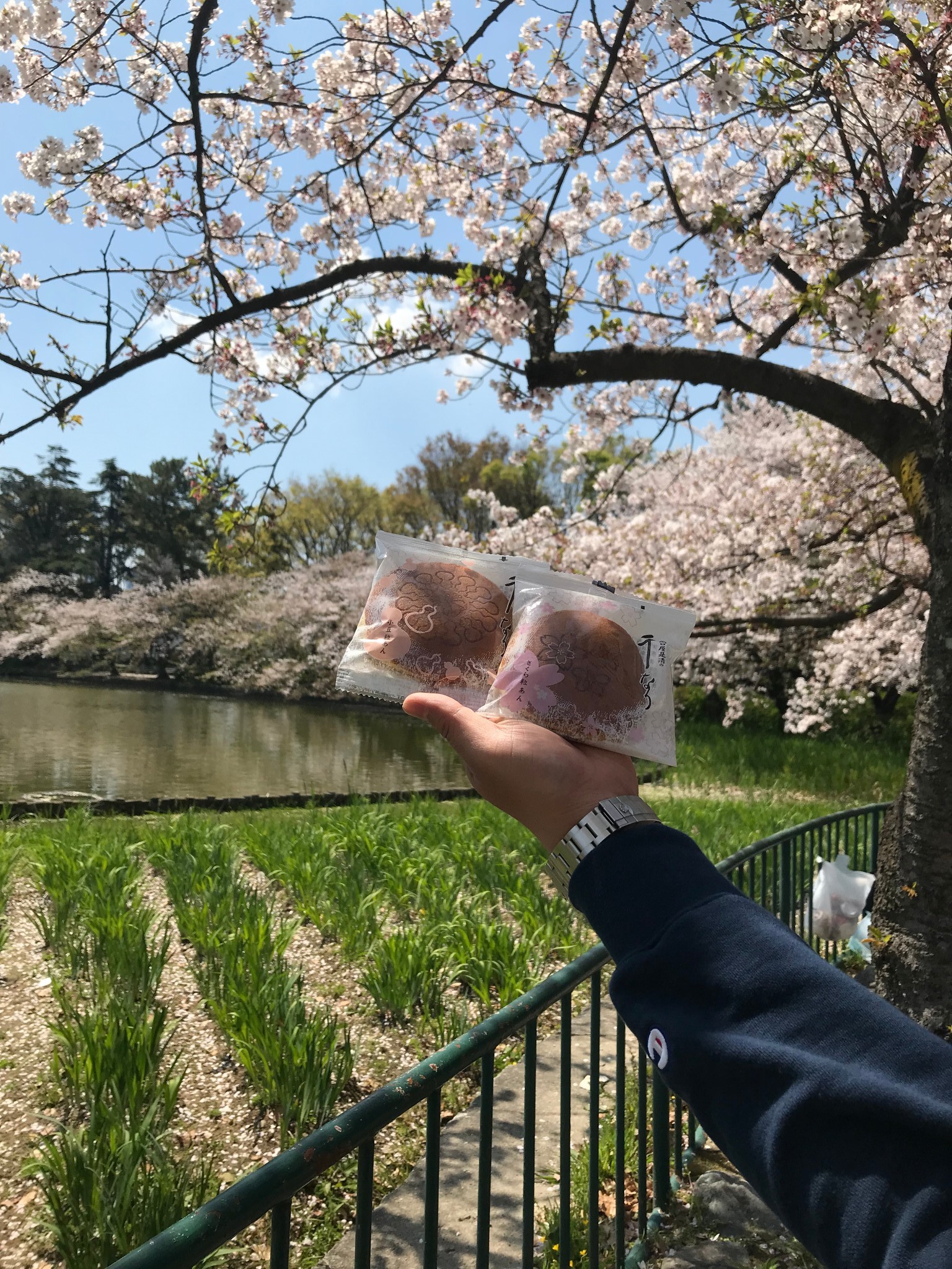 名古屋自助遊攻略