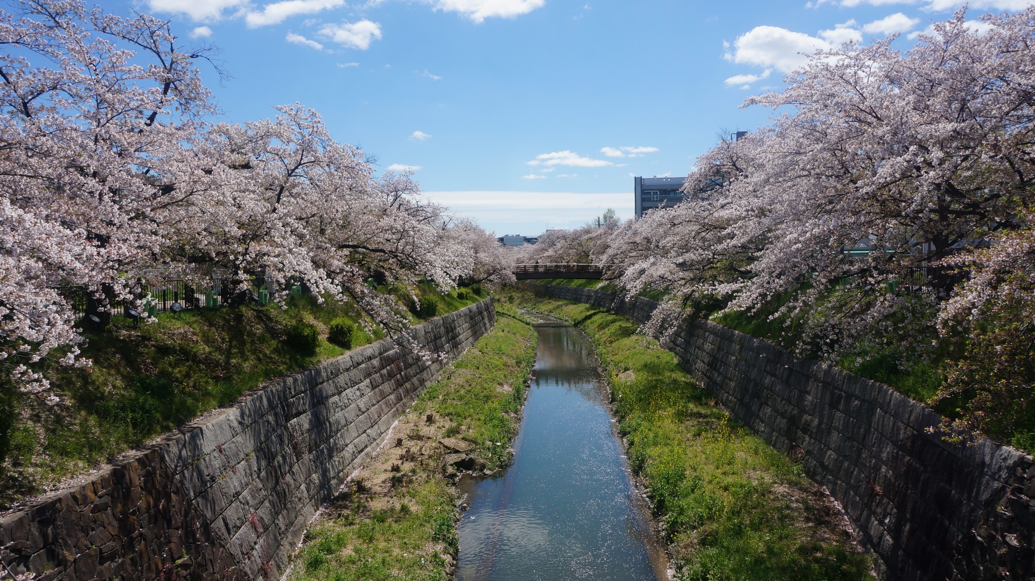 名古屋自助遊攻略