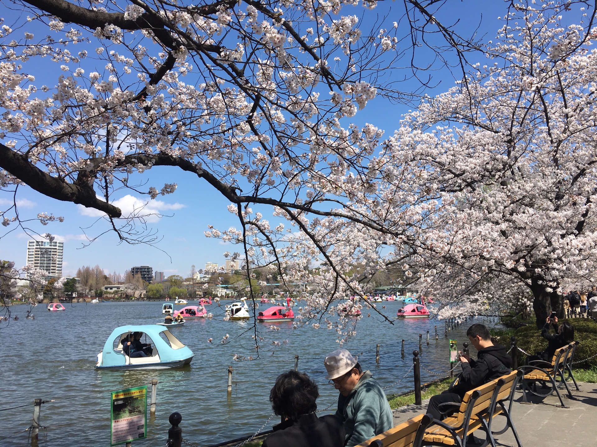 東京自助遊攻略