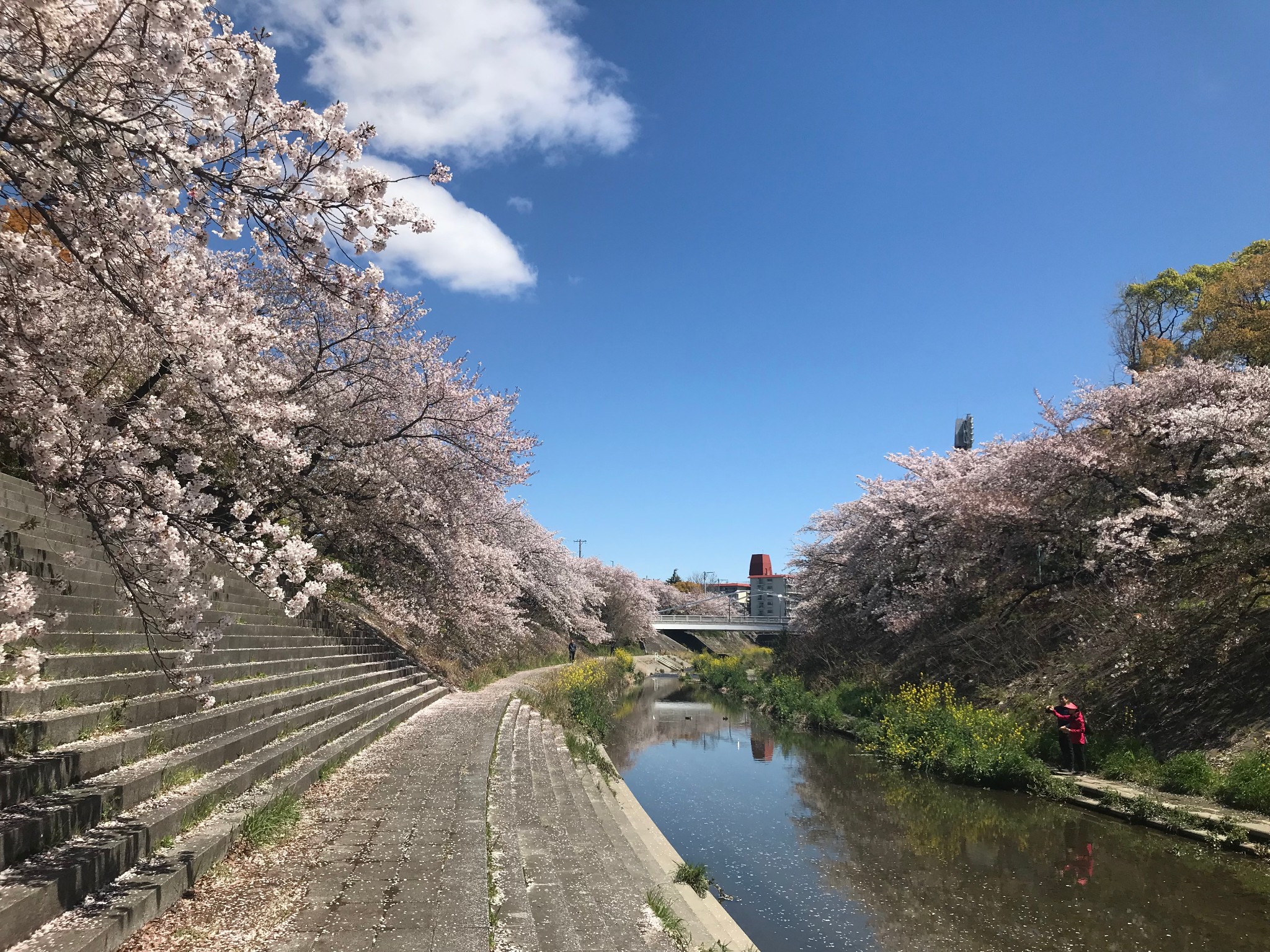 名古屋自助遊攻略