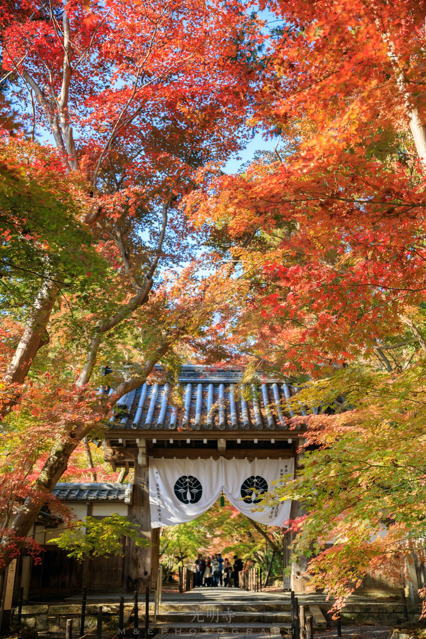 京都自助遊攻略