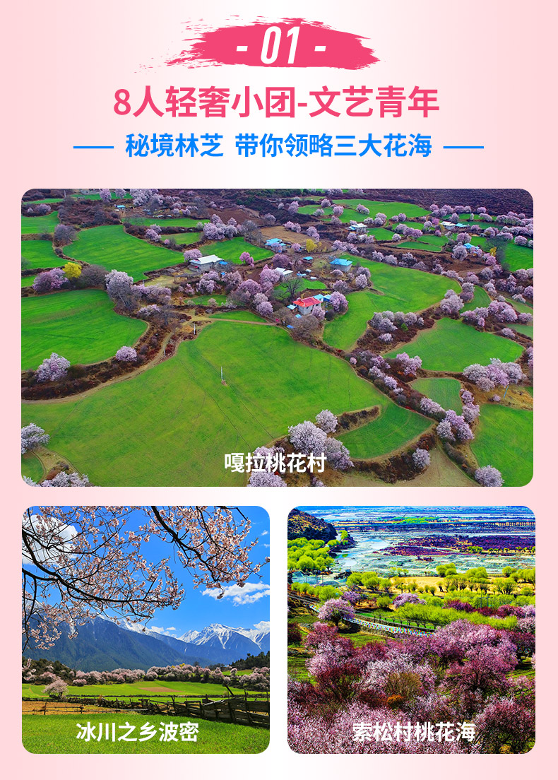 林芝市区人口_林芝市区(2)