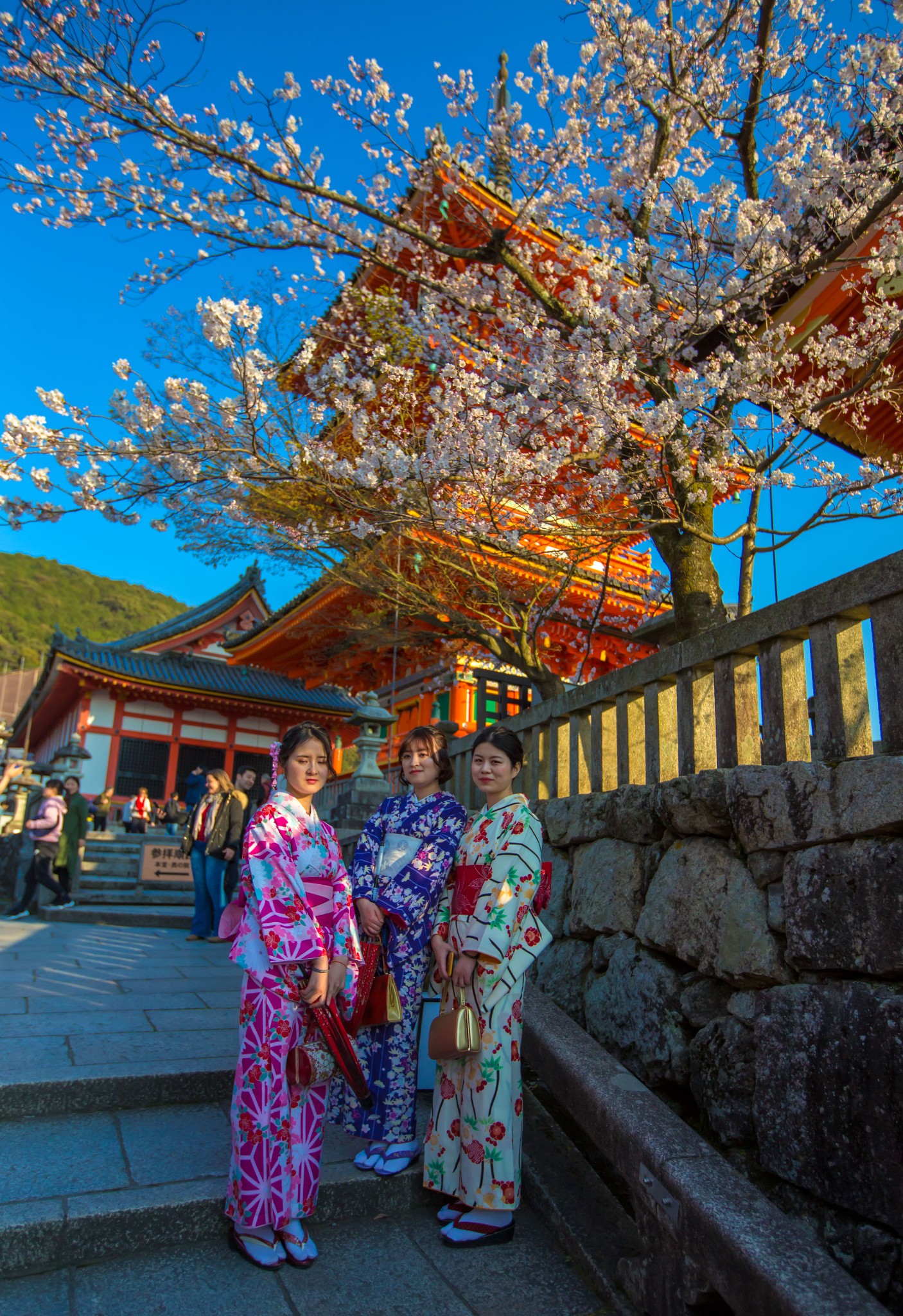 富士山自助遊攻略