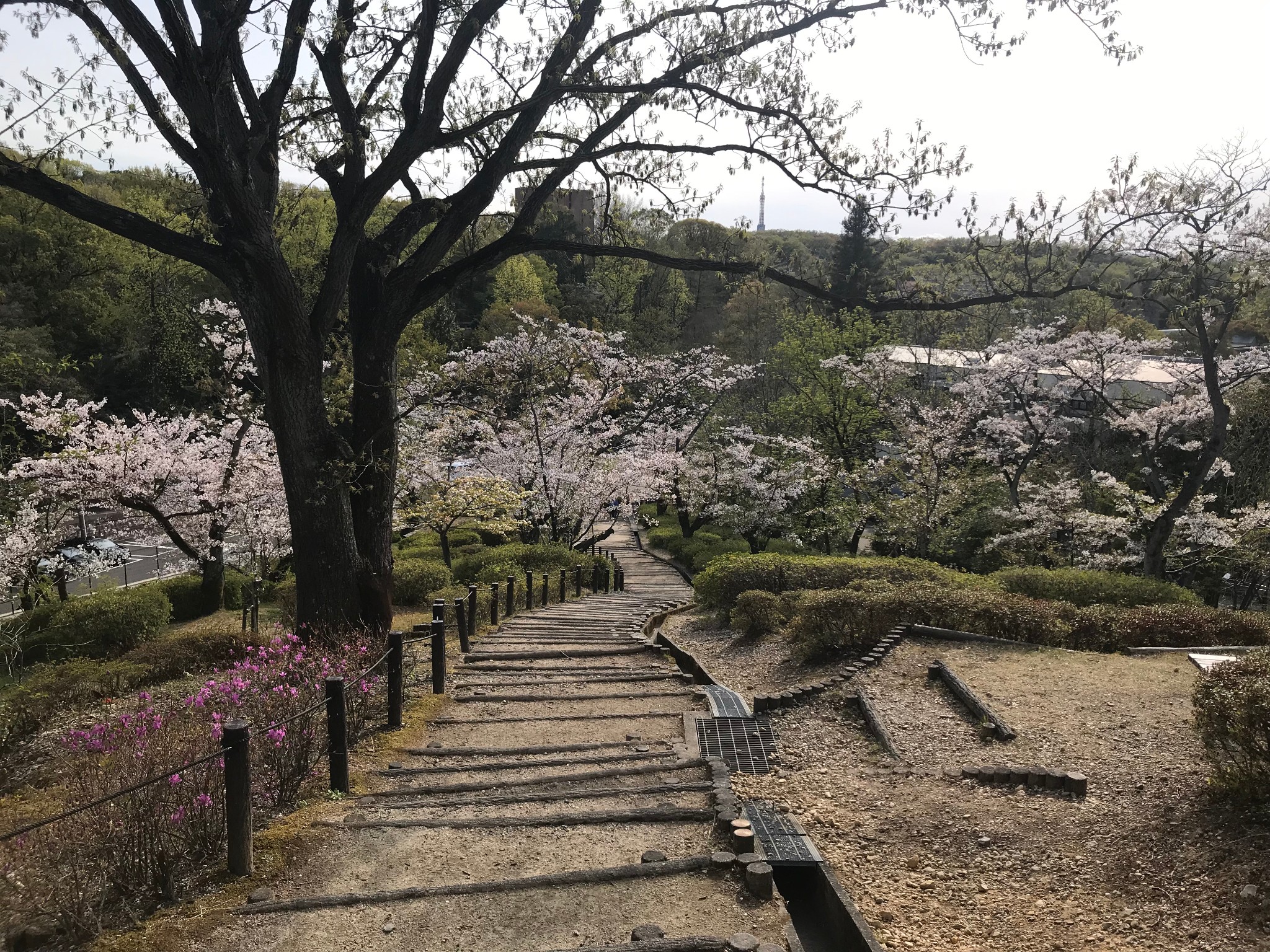 名古屋自助遊攻略