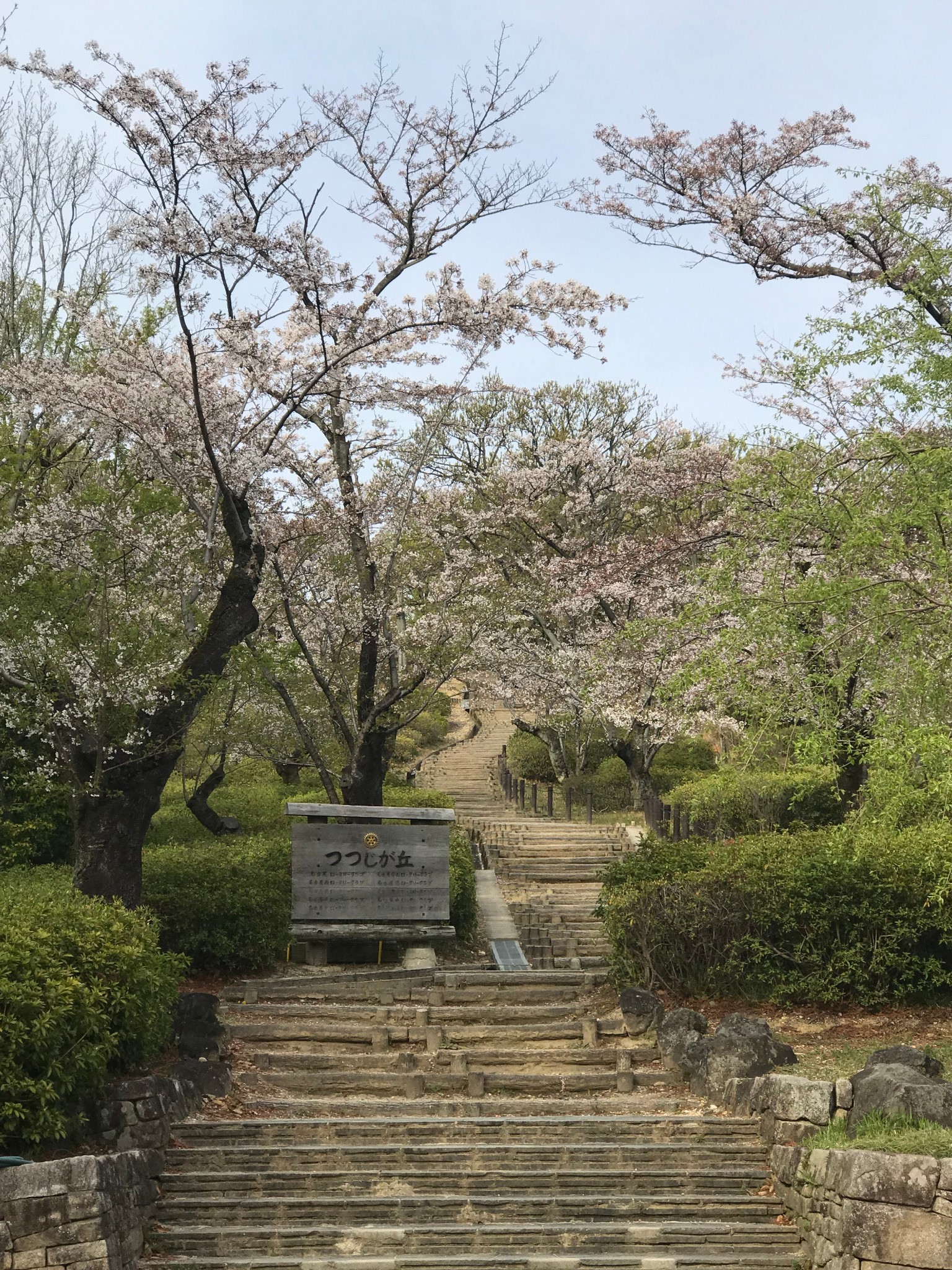 名古屋自助遊攻略