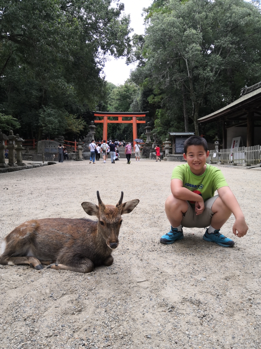 京都自助遊攻略