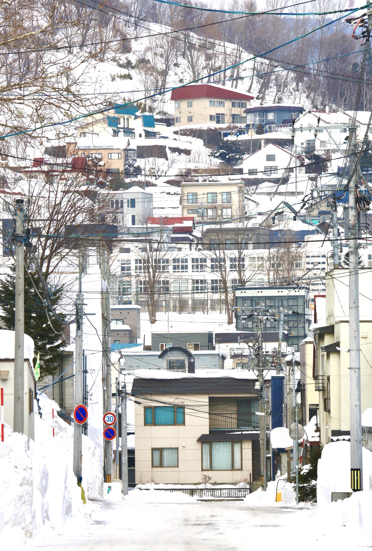 札幌自助遊攻略