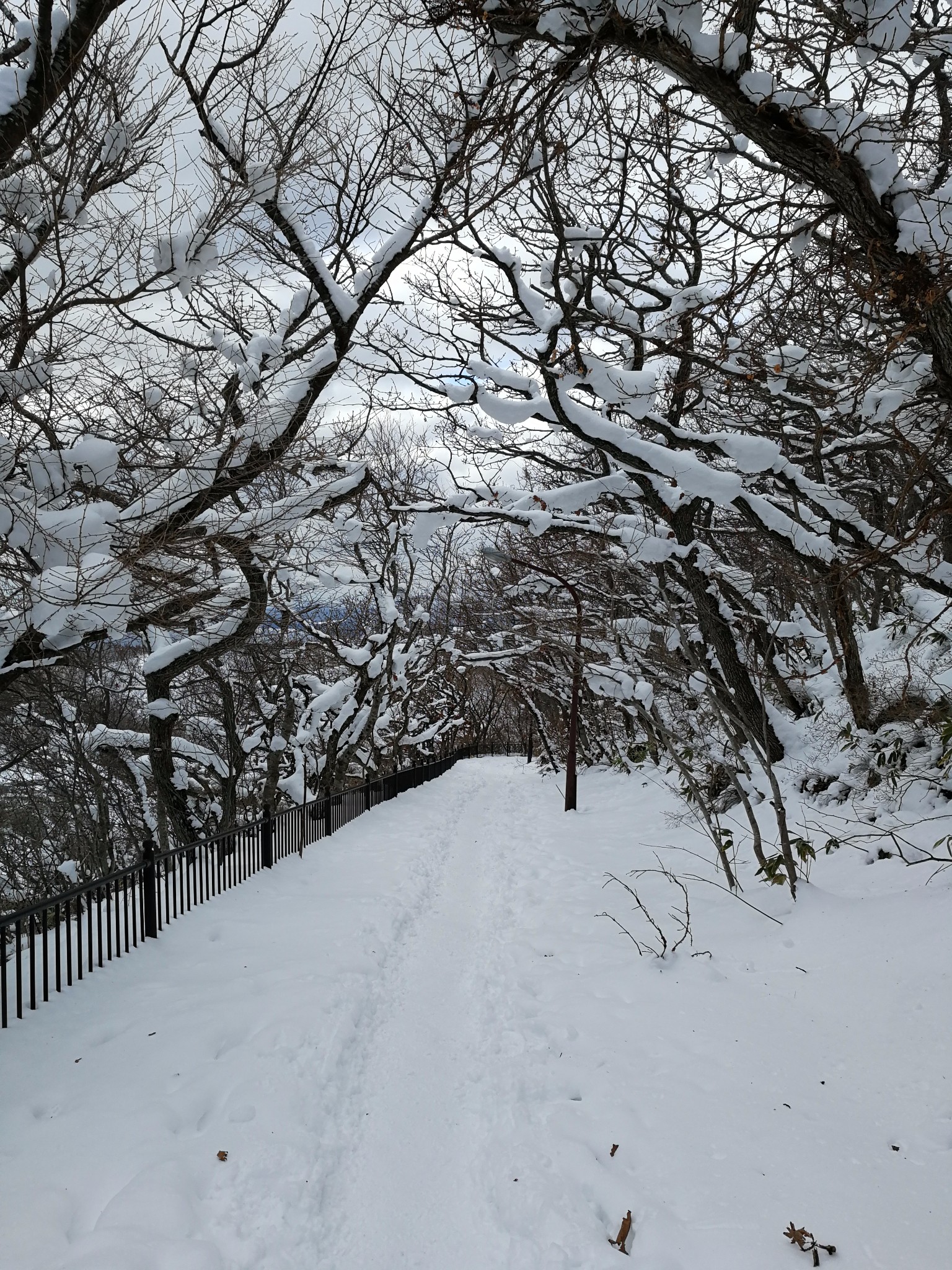 北海道自助遊攻略