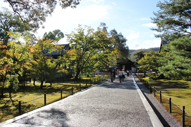 京都自助遊攻略